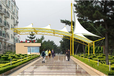 大門膜結(jié)構